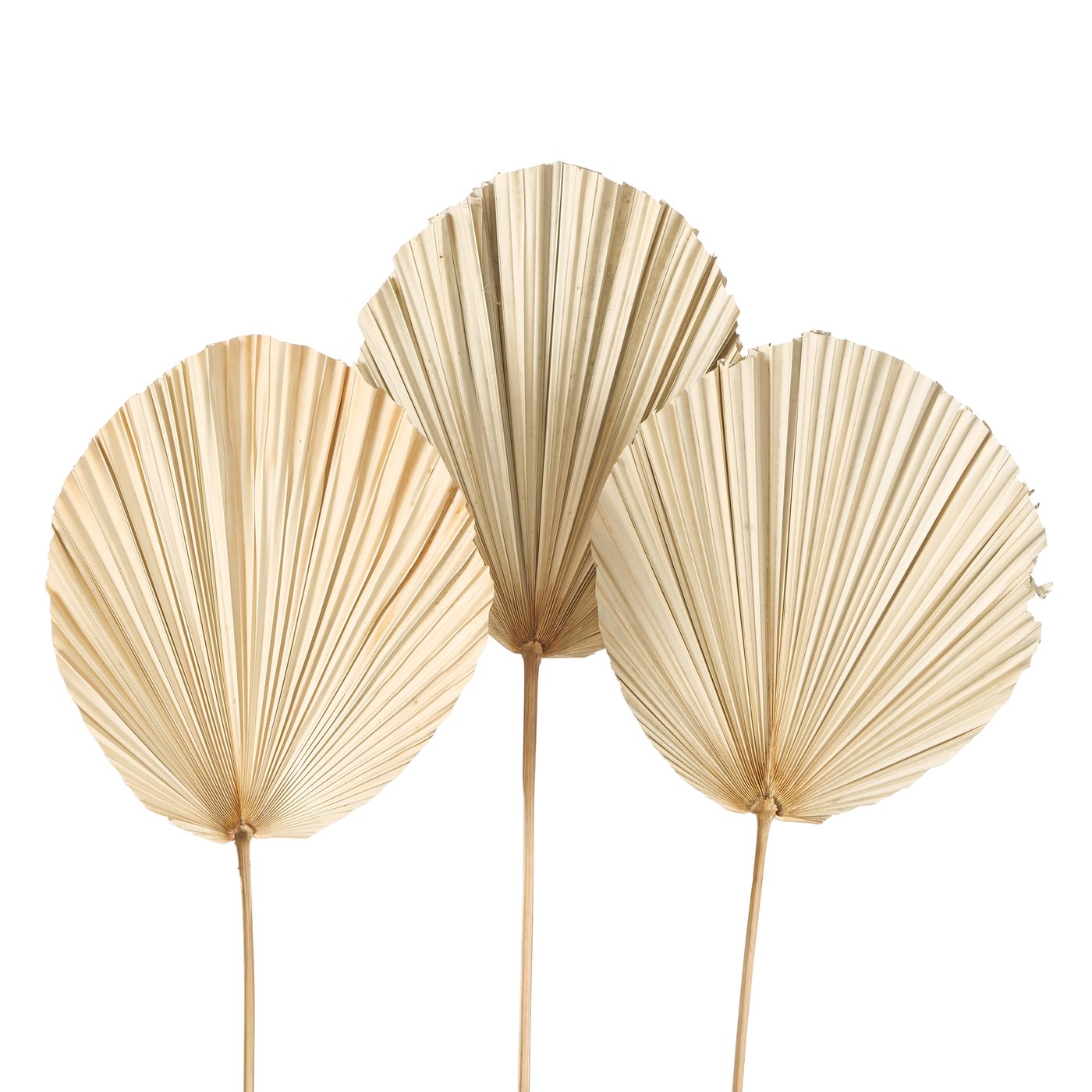 B AVA Gold elegant Table decoration