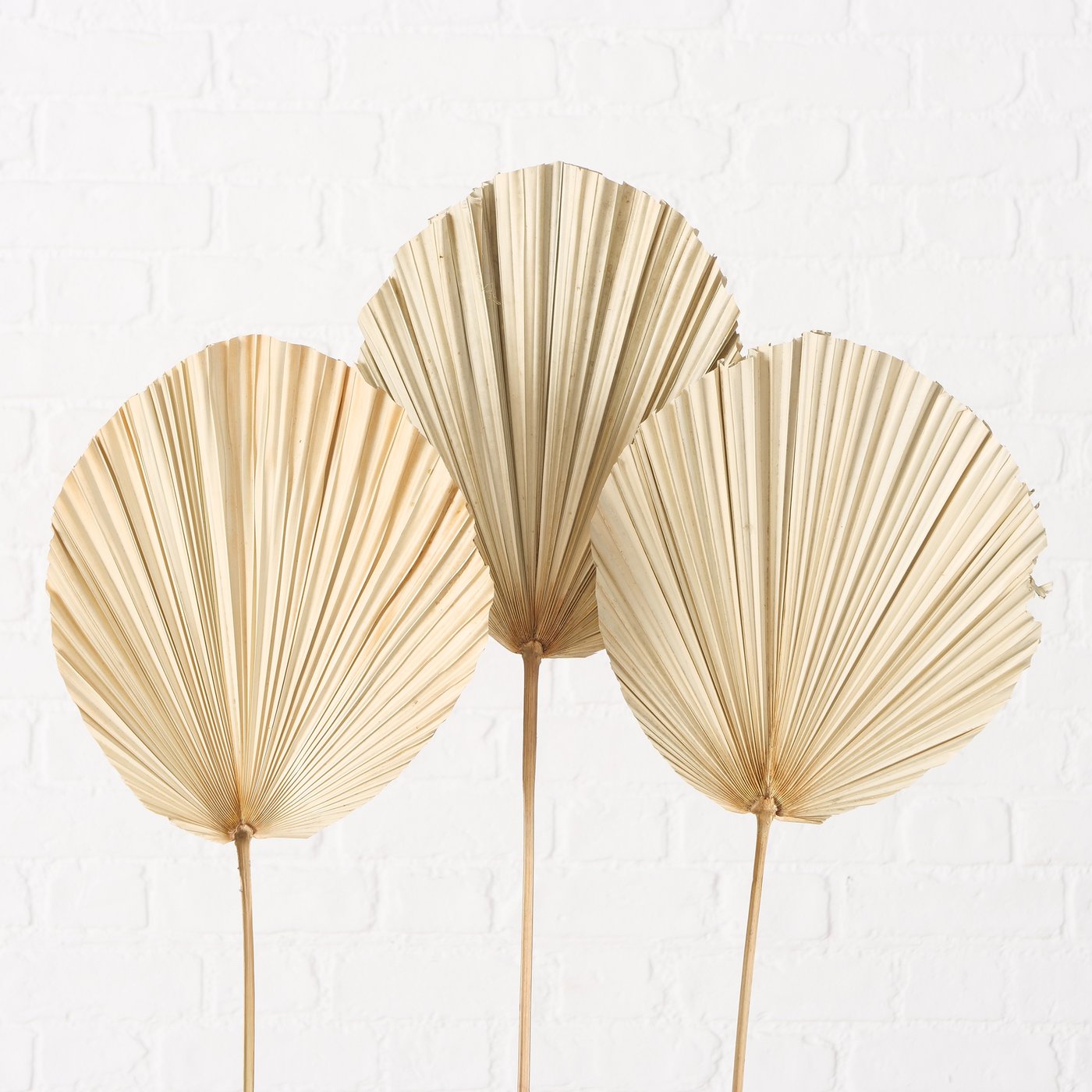 B AVA Gold elegant Table decoration